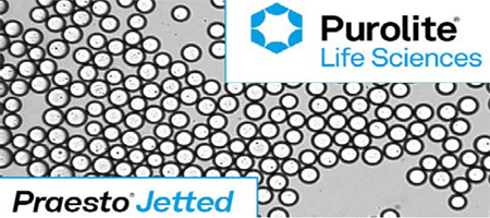 Read more about the article Praesto Jetted SP35